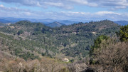 Brion_26_03-42