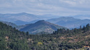 Brion_26_03-43