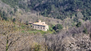 Brion_26_03-44