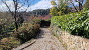 Brion_26_03-56