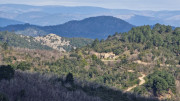 Brion_26_03-62