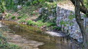 Brion_26_03-68