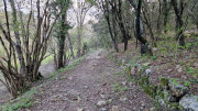 Brion_26_03-69