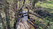 Brion_26_03-70
