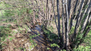 Brion_26_03-71