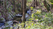 Brion_26_03-72