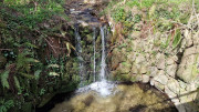 Brion_26_03-75