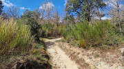 Brion_26_03-81