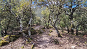 Brion_26_03-84