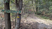Brion_26_03-88