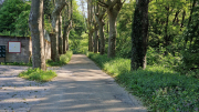 Cazebonne_26_05-1