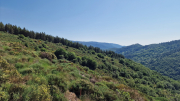 Cazebonne_26_05-10