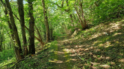 Cazebonne_26_05-108