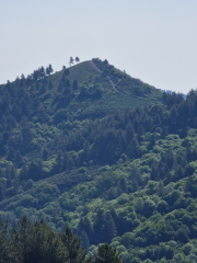 Cazebonne_26_05-13