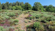 Cazebonne_26_05-14