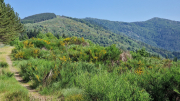 Cazebonne_26_05-15
