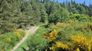 Cazebonne_26_05-16