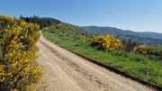 Cazebonne_26_05-18