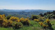 Cazebonne_26_05-19