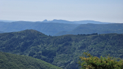 Cazebonne_26_05-20