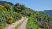 Cazebonne_26_05-24