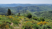 Cazebonne_26_05-25
