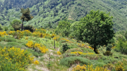 Cazebonne_26_05-26