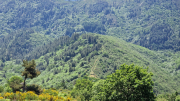 Cazebonne_26_05-27