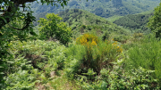 Cazebonne_26_05-28