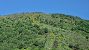 Cazebonne_26_05-29
