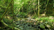Cazebonne_26_05-31