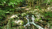 Cazebonne_26_05-32