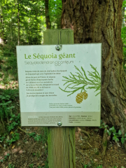 Cazebonne_26_05-34