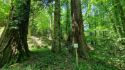 Cazebonne_26_05-35