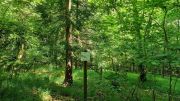 Cazebonne_26_05-37