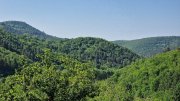 Cazebonne_26_05-4