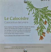 Cazebonne_26_05-44