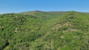 Cazebonne_26_05-5