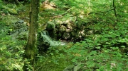 Cazebonne_26_05-50