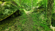 Cazebonne_26_05-52