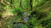 Cazebonne_26_05-53