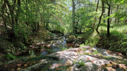 Cazebonne_26_05-56