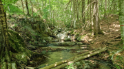 Cazebonne_26_05-57