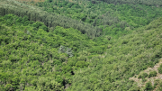 Cazebonne_26_05-6