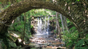 Cazebonne_26_05-67