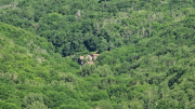 Cazebonne_26_05-7