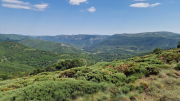 Cazebonne_26_05-74