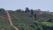 Cazebonne_26_05-77