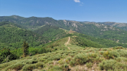 Cazebonne_26_05-78