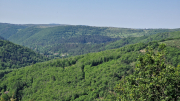 Cazebonne_26_05-8